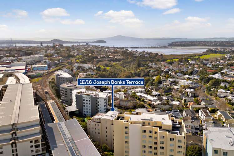 1E/18 Joseph Banks Terrace Remuera_25