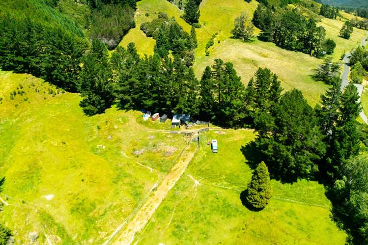 477 Wakamarina Road Canvastown_11