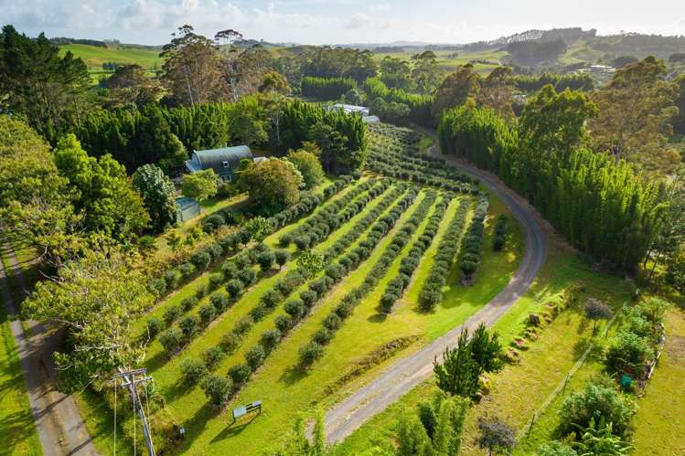 70 Pukeko Lane Kerikeri_38