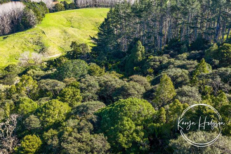 2395F State Highway 1 Kaiwaka_38