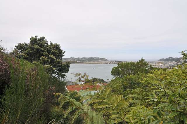 17 Kainui Road Hataitai_2