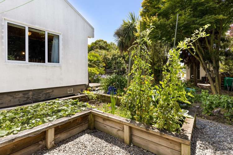 157b Middle Renwick Road Springlands_23