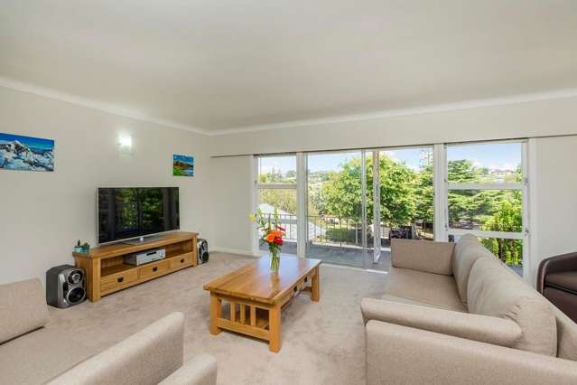 13 Hibiscus Place Hillsborough_1