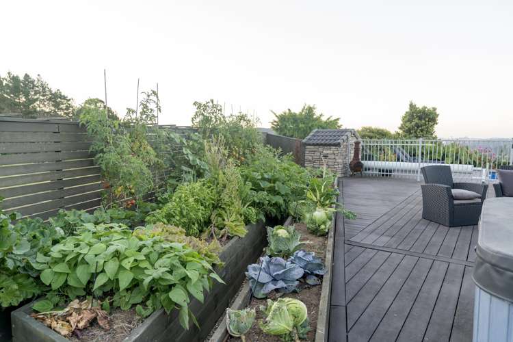 50b Paul Road Tairua_42