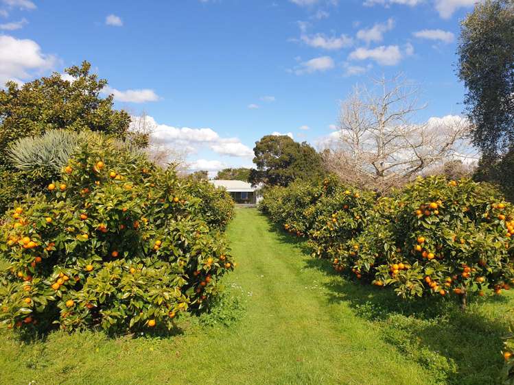 70 Norris Road_2