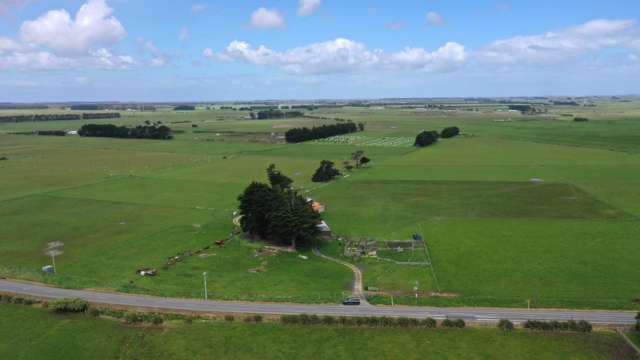 1233 Motu Rimu Road Woodend_4