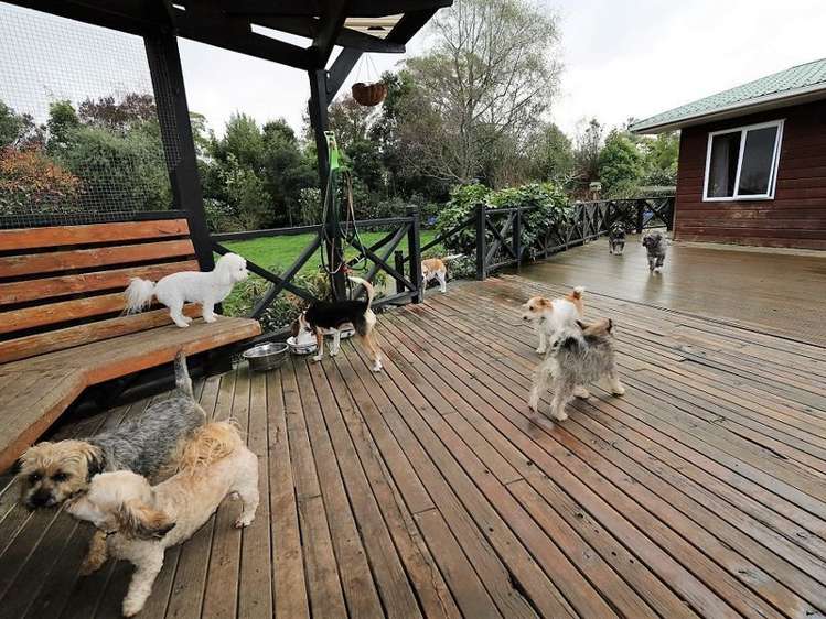 492 Upper Plain Road Upper Plain_20