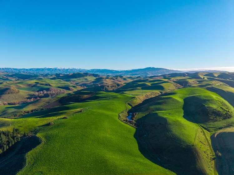 463 Dog Kennel Road Waimate_37