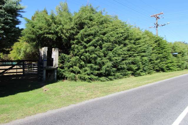 69 Stanly Street Eketahuna_4