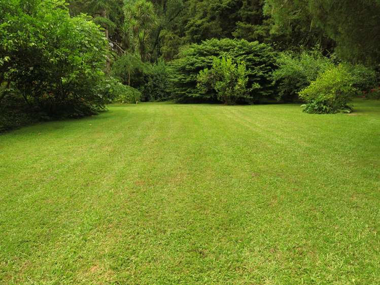 130 Gibbons Road Kaiwaka_31