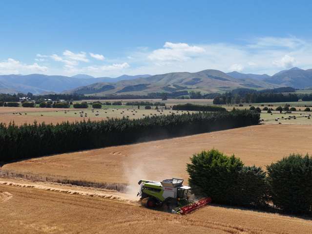 588 Freshford Plains Station Road Wendonside_1