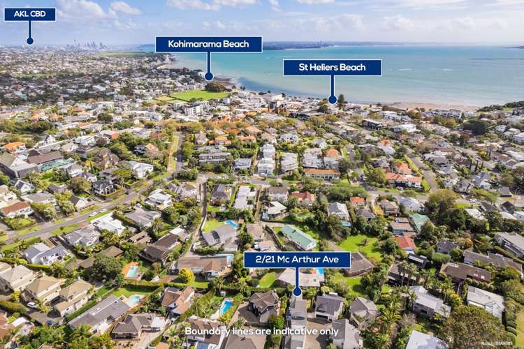 2/21 Mcarthur Avenue Saint Heliers_18