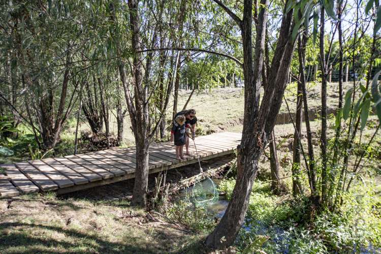 231 Waitakere Road Taupaki_30