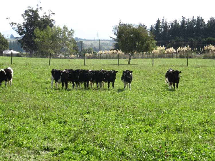 18 Sutherlands Road Pleasant Point_12