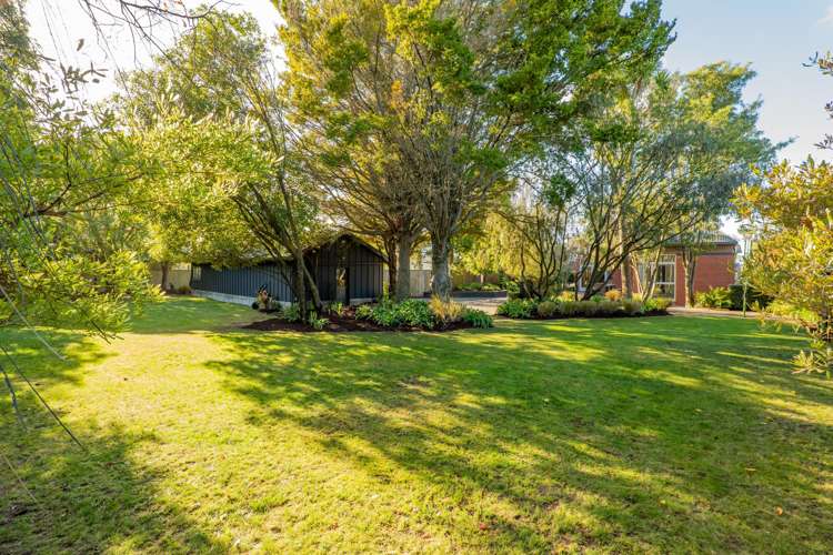 39 Clifford Avenue Merivale_30