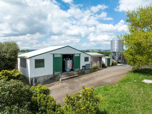 1001 Piako Road Gordonton_3