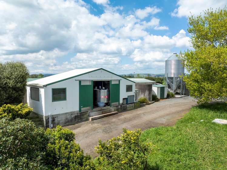 1001 Piako Road Gordonton_3