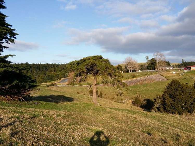 1725 Ruapekapeka Road Kawakawa_5