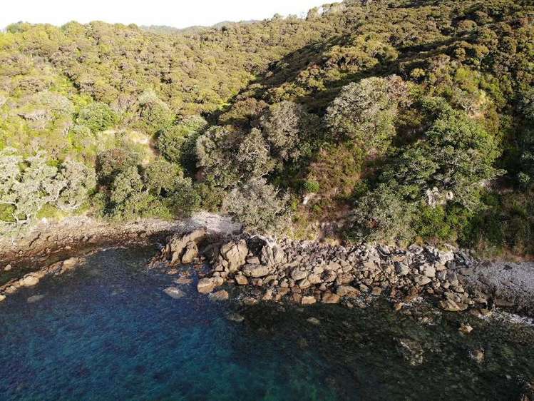 Lot 4/303 Waiaua Road Hihi_39