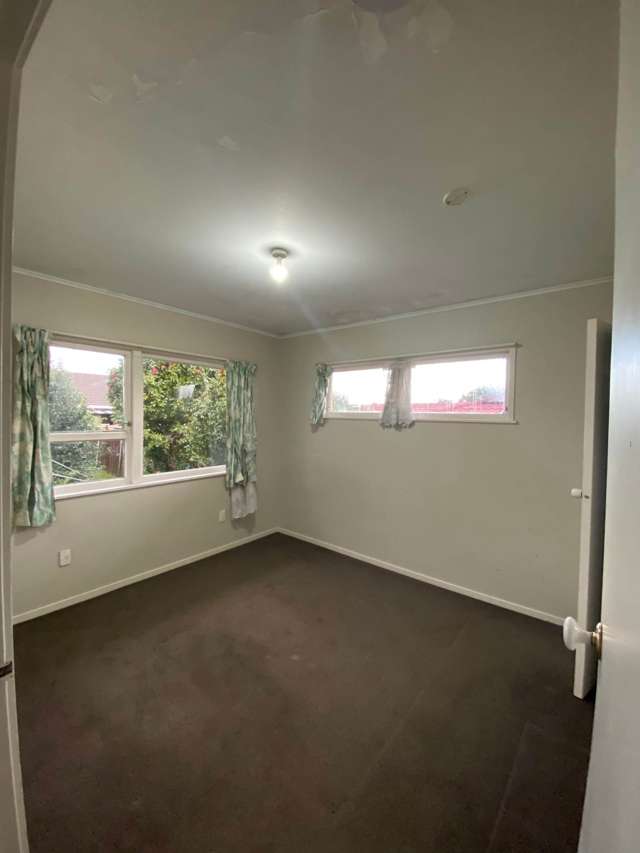 45 Stanniland Street Sunnyhills_3