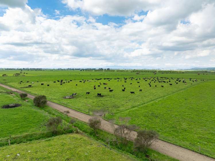 1001 Piako Road Gordonton_19