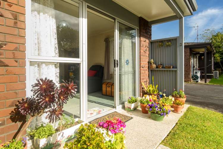 3/46 Thirteenth Avenue Tauranga South_9