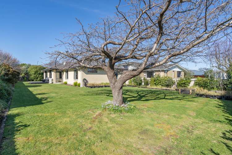 37 Vogel Place Waikiwi_17
