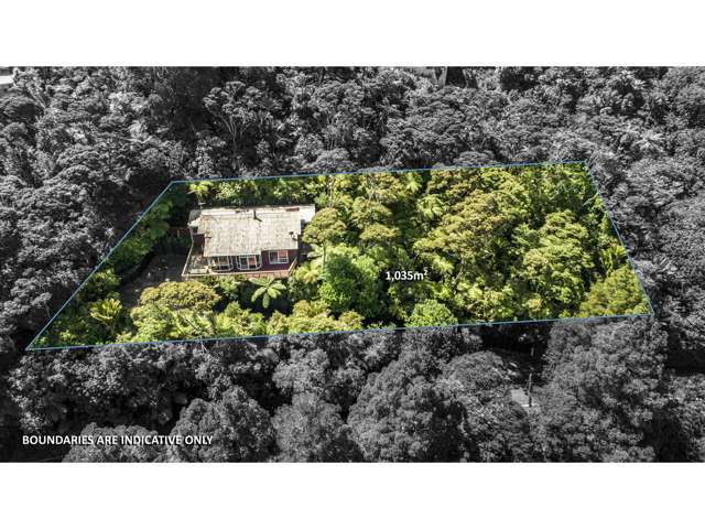 17 Scenic Drive Titirangi_3