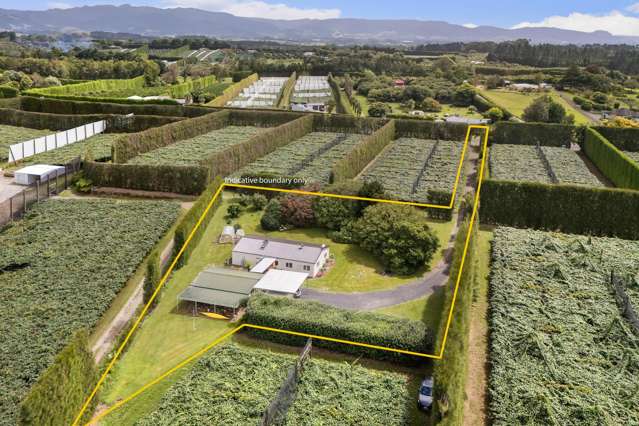 81 Lockington Road Aongatete_1