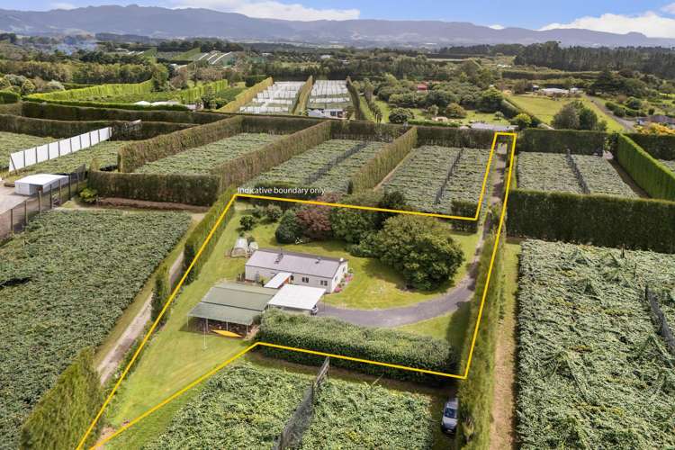 81 Lockington Road Aongatete_1