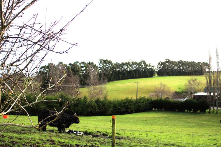 118 Old Port Road Catlins Surrounds_17