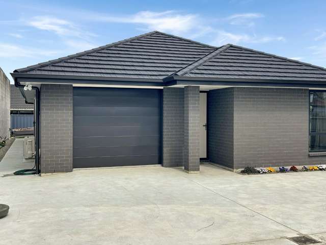 29a Cole Street Masterton_1