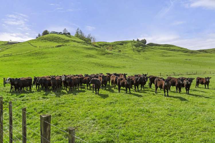 446 Tikitiki Road Te Kuiti_5