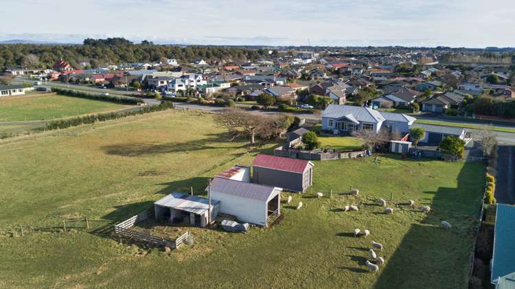 737 Queens Drive Waikiwi_15