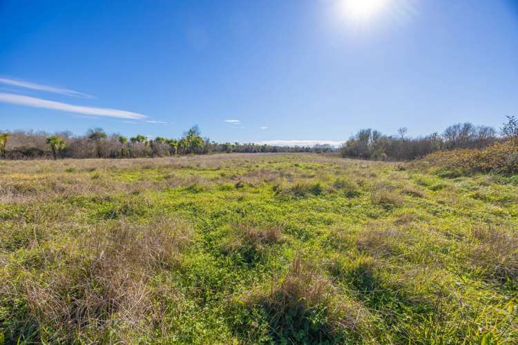 Rotowaro Road_5