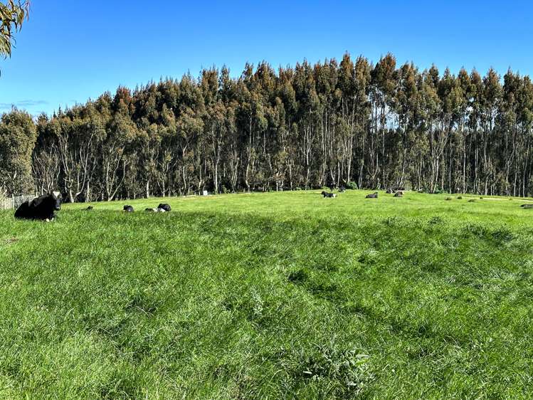 30 Frazer Road Gore Surrounds_14