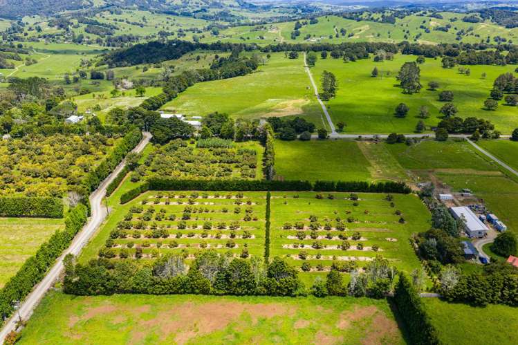 146 Bint Road Maungakaramea_1