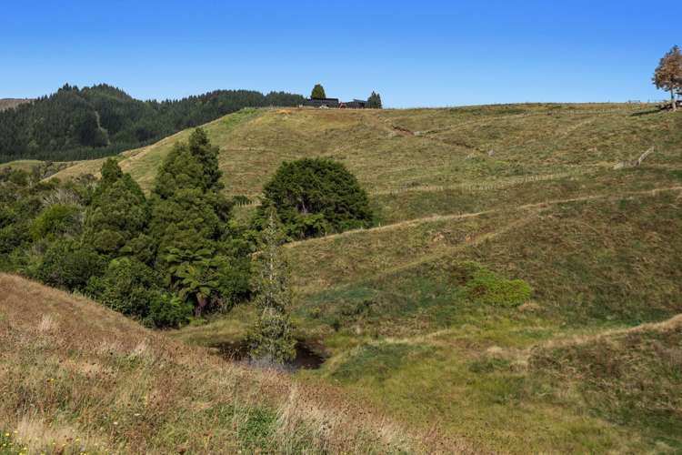 1207C Stanley Road Whakatane_11