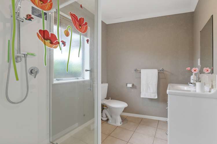 59 Seales Road Morrinsville_17