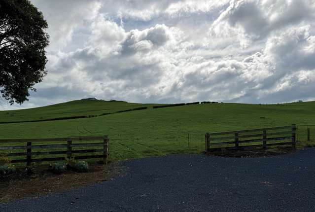 738A Taniwha Road Waerenga_2