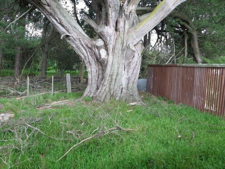 2220 State Highway 53 Tauwharenikau_10