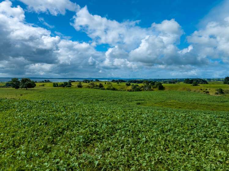 312 Grahams Beach Road Manukau Heads_7