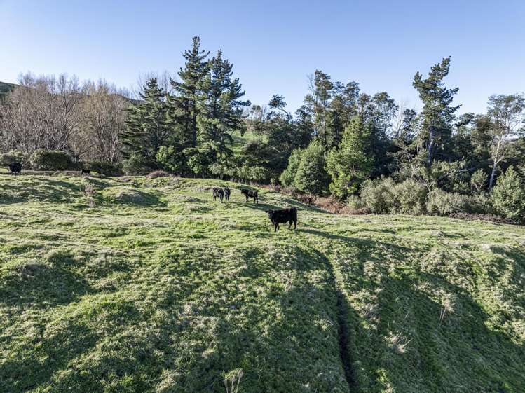 142 Pohokura Road (subdivision of) Tutira_25