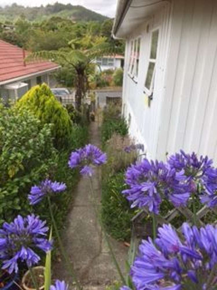 82 Field Street Silverstream_5