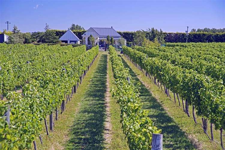 157 Church Road Waipara_0