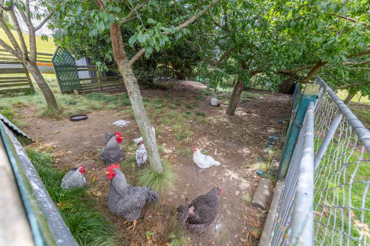 26 Waotu South Road Putaruru_6