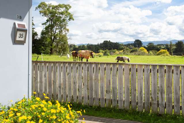 35 James Street Dannevirke_1