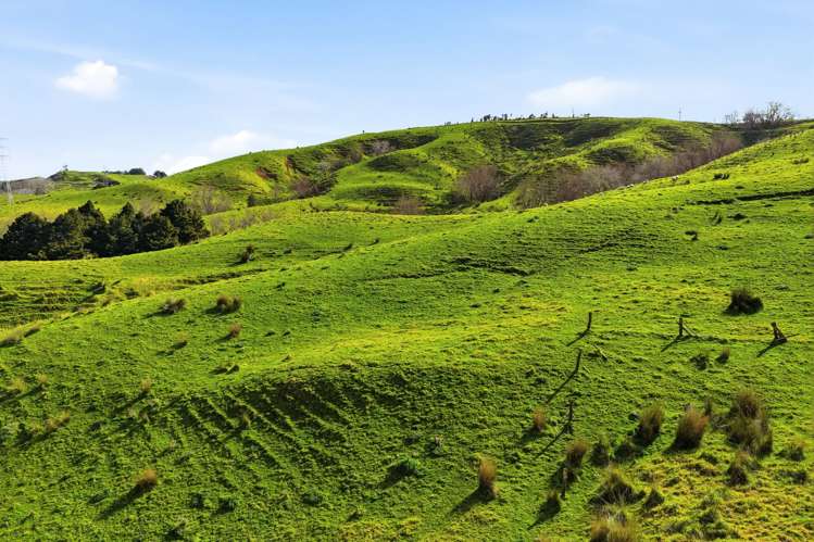 Lot 6 & 7 Otioro Road Topuni_21