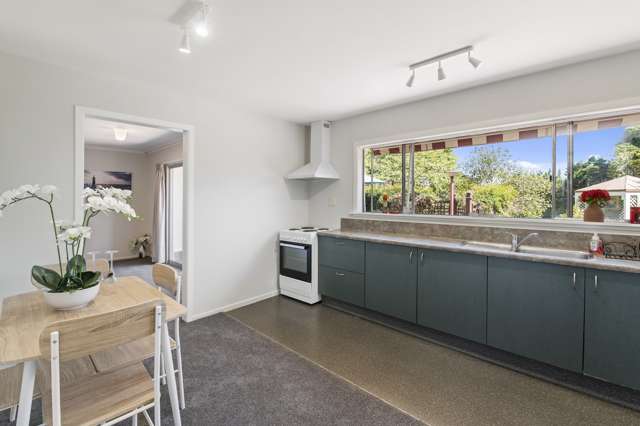 5 Windsor Place Levin_4