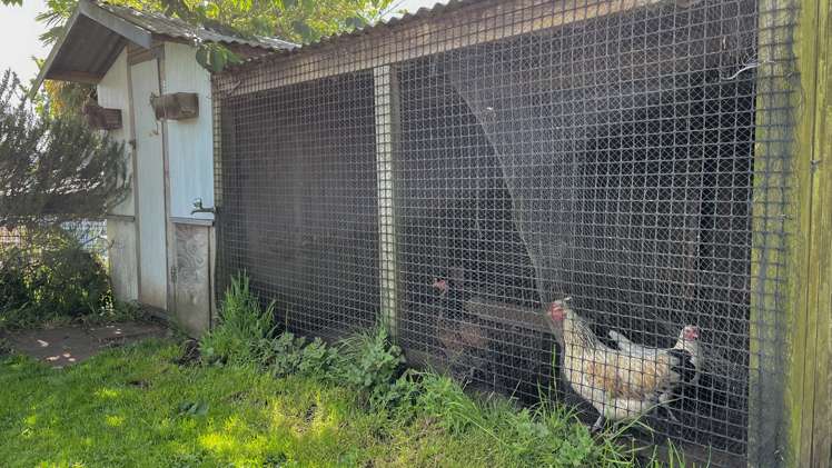 5 Dawson Street Matamata_20